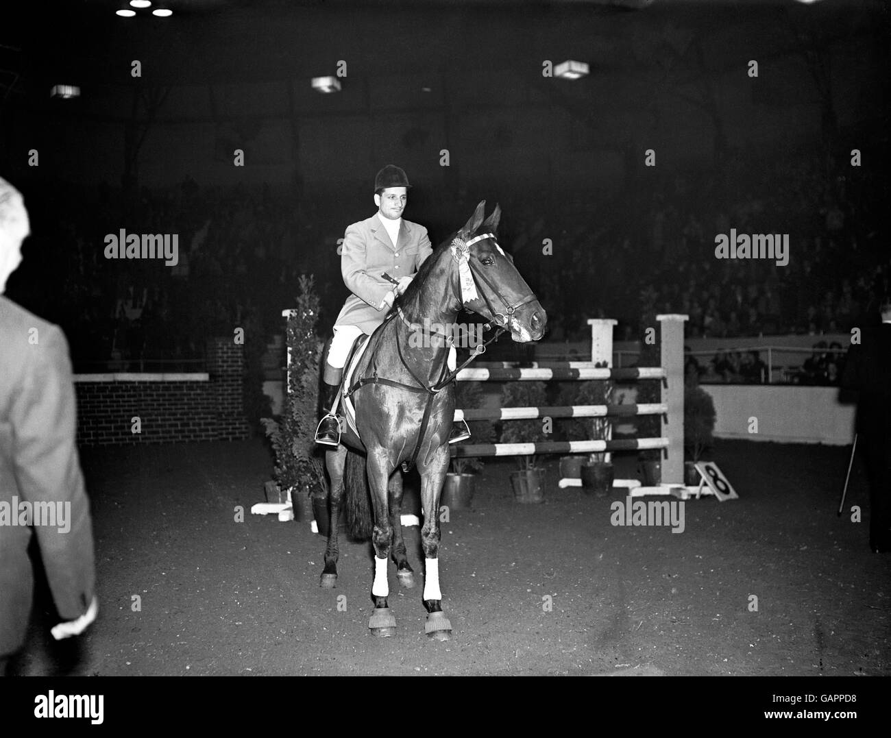 Reitsport - das Pferd des Jahres-Show - Haringay Arena Stockfoto