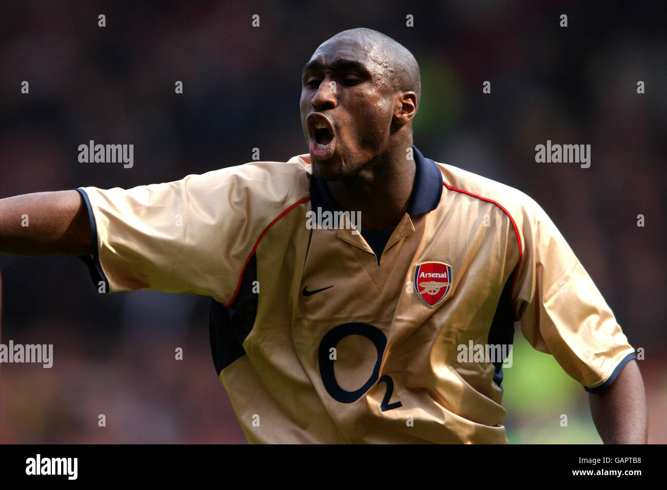 Fußball - AXA FA Cup - Halbfinale - Arsenal gegen Sheffield United. Sol Campbell, Arsenal Stockfoto