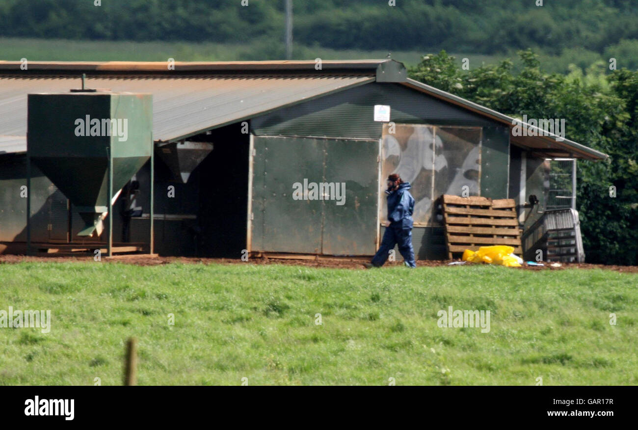 Eine allgemeine Ansicht der Eastwood Farm in Shenington in der Nähe von Branbury, Oxfordshire, wo ein Stamm der H7-Vogelgrippe bei Hühnern gefunden wurde. Stockfoto