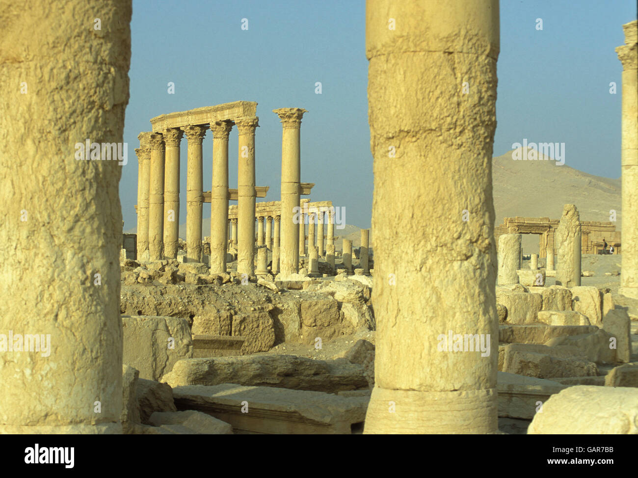 die römischen Ruinen von Palmyra in Palmyra im Osten von Syrien. Stockfoto