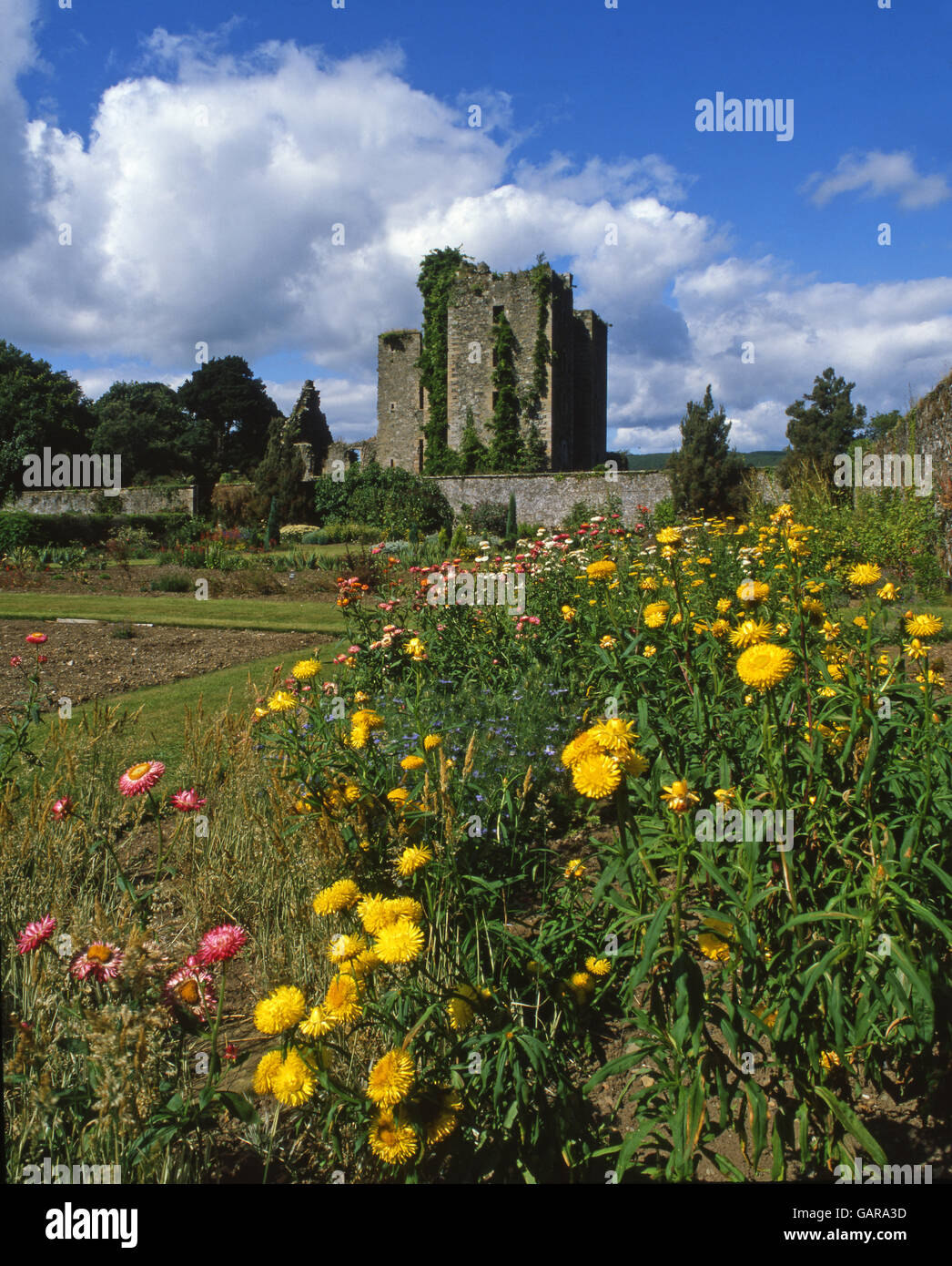 Sommer Blick auf Schloss Kennedy, Wigtownshire, S/W-Schottland Stockfoto