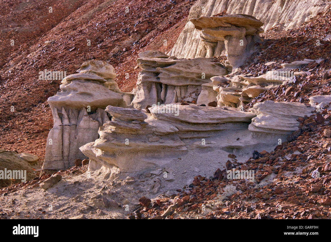 Sandstein-Formationen an der Bisti De-Na-Zin Wilderness, New Mexico, USA Stockfoto