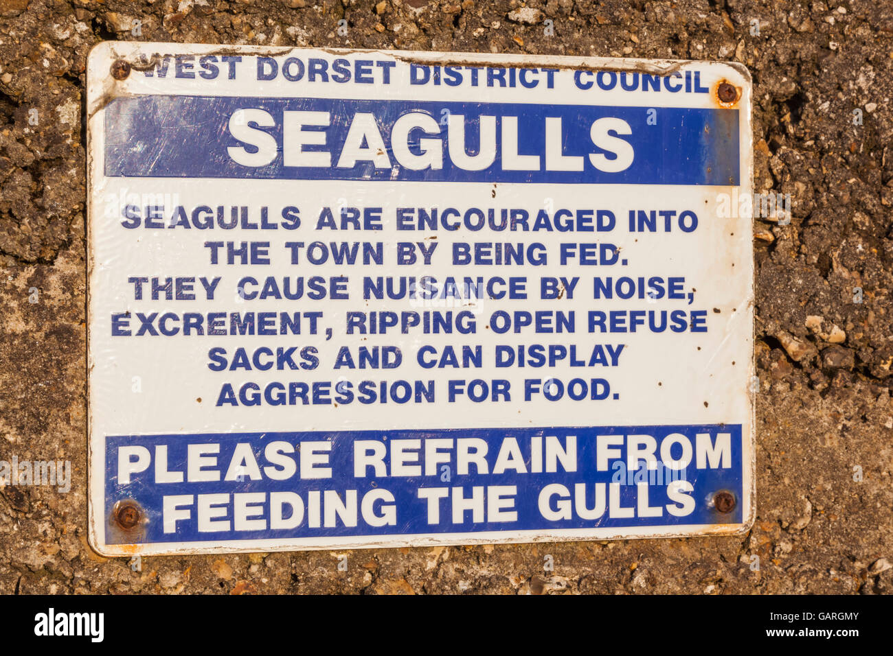 Seagull Bewusstsein Zeichen, Lyme Regis, Dorset, England Stockfoto