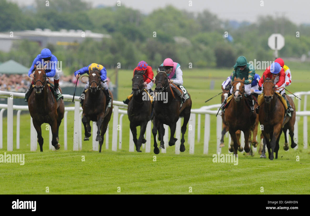 Pferd - Juddmonte Lockinge Regattatag - Newbury Racecourse Stockfoto