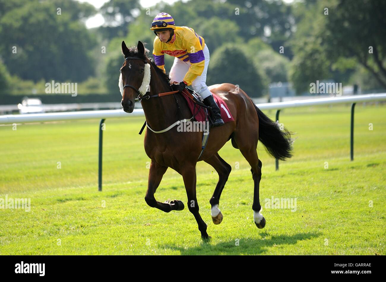 Wing Collar von Jockey David Allan bei der Timeform Silver Salver im Haydock Park Stockfoto