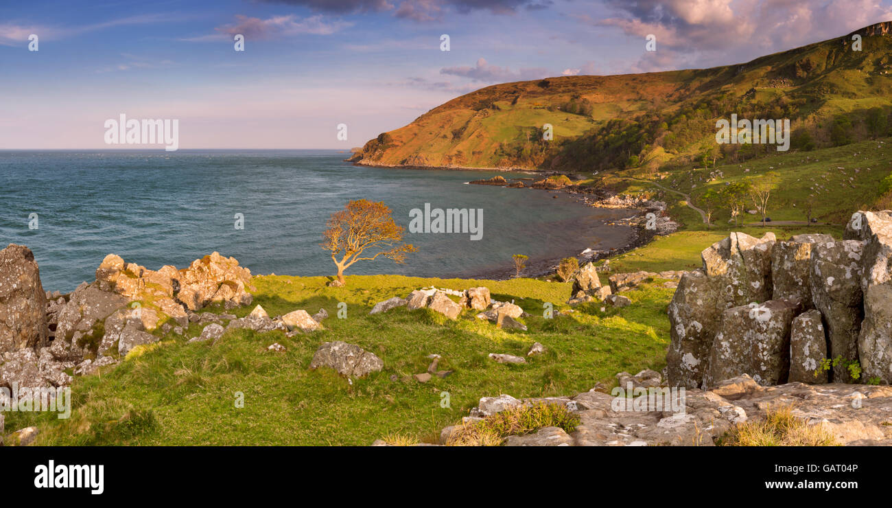 Am Abend Sonnenlicht über die idyllische Murlough Bucht an der Küste Causeway in Nordirland. Stockfoto