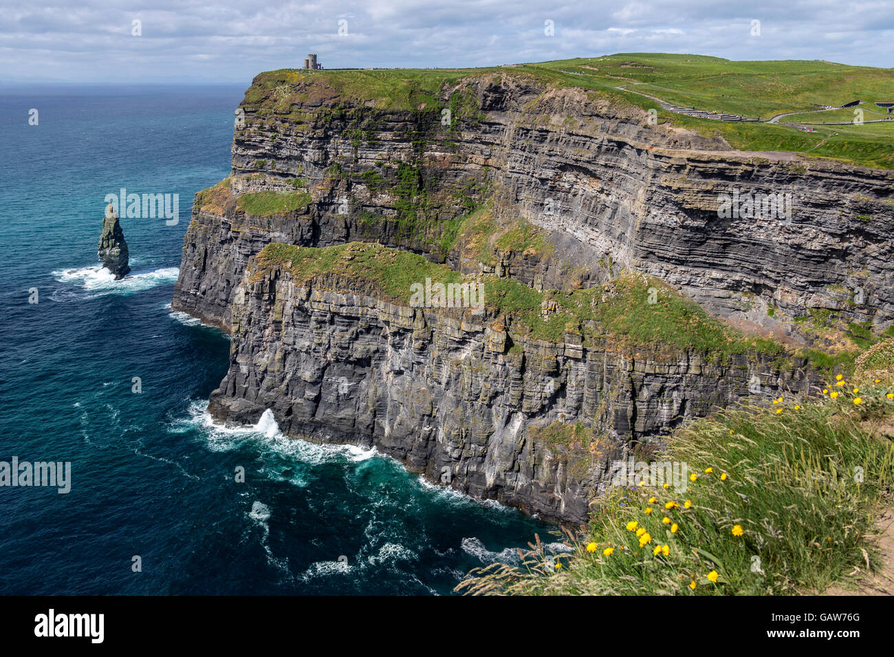 Die Klippen von Moher - befindet sich am südwestlichen Rand der Region Burren im County Clare, Irland. Stockfoto