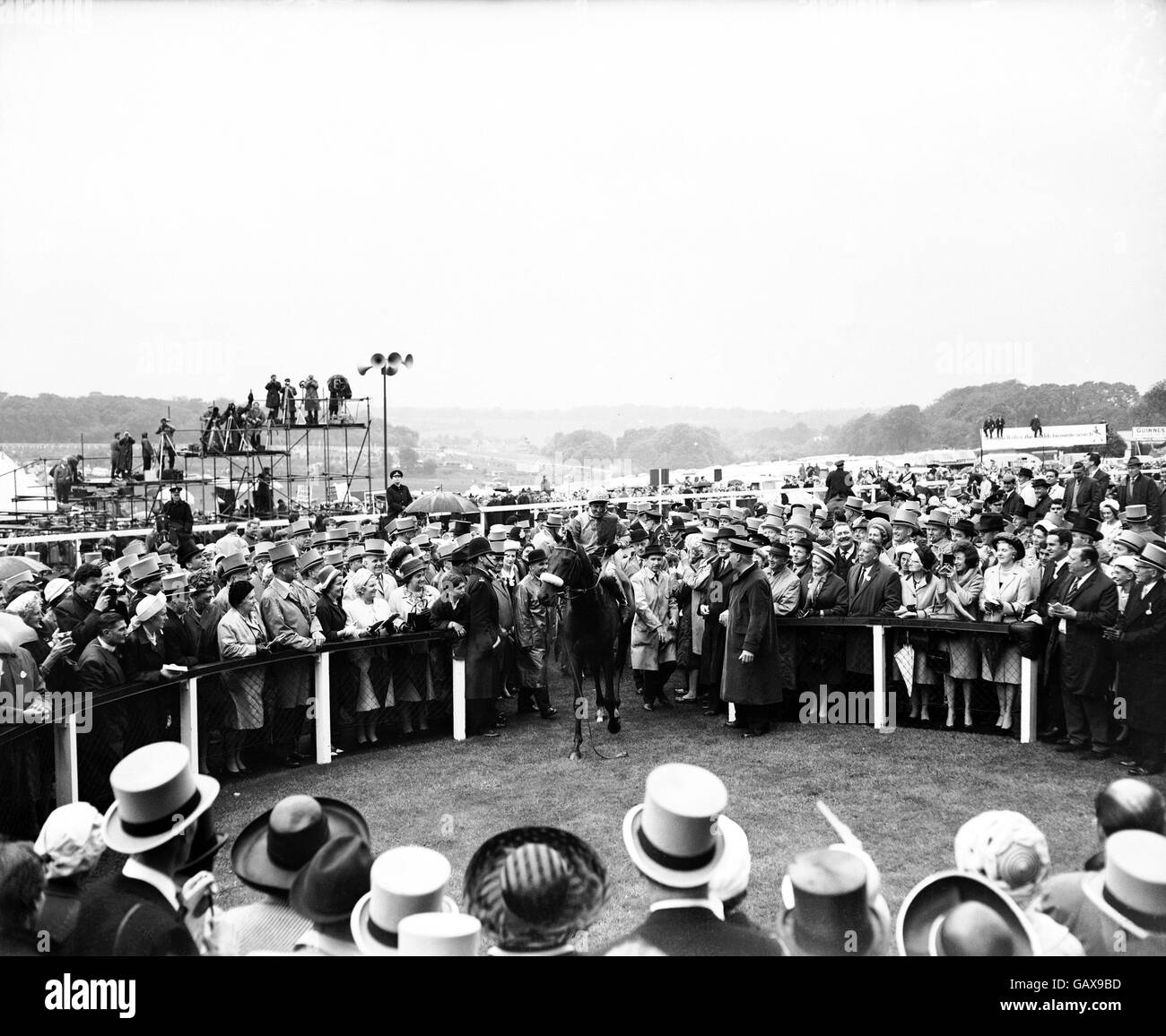 Horse Racing - Derby Stakes - Epsom Stockfoto