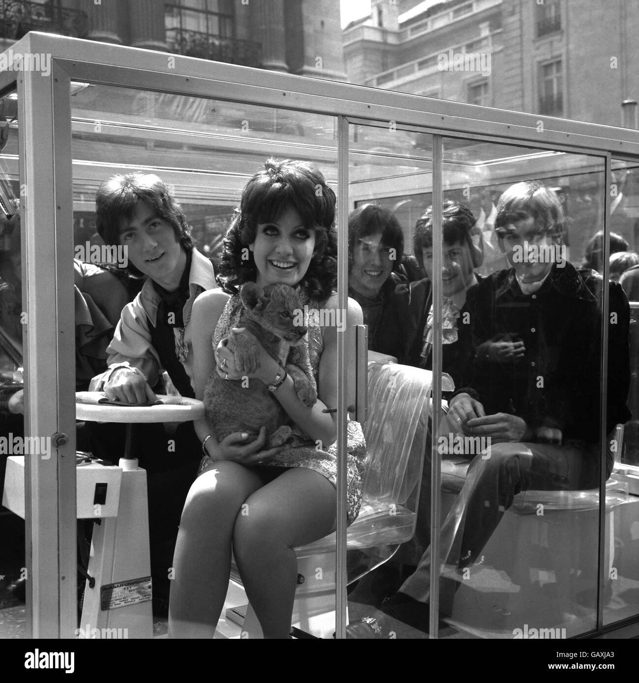 Mit einem Metro-Goldwyn-Mayer Löwenjungen auf dem Schoß wird Sheila Carter (Gesang/Orgel) mit vier ihrer Begleiter, die ihre Gruppe bilden, 'Episode Six' - Roger David (links - Gesang und Bass) und dann (von rechts nach links) John Kerrison (Schlagzeug) gezeigt; Tony Lander (Gesang und Leadgesang) und Graham Ross (Gesang und Gitarre) der andere männliche Bandmitglied ist, teilweise auf der äußersten linken Seite versteckt, Ian Gillan (der 1969 der Frontmann von Deep Purple war). Stockfoto