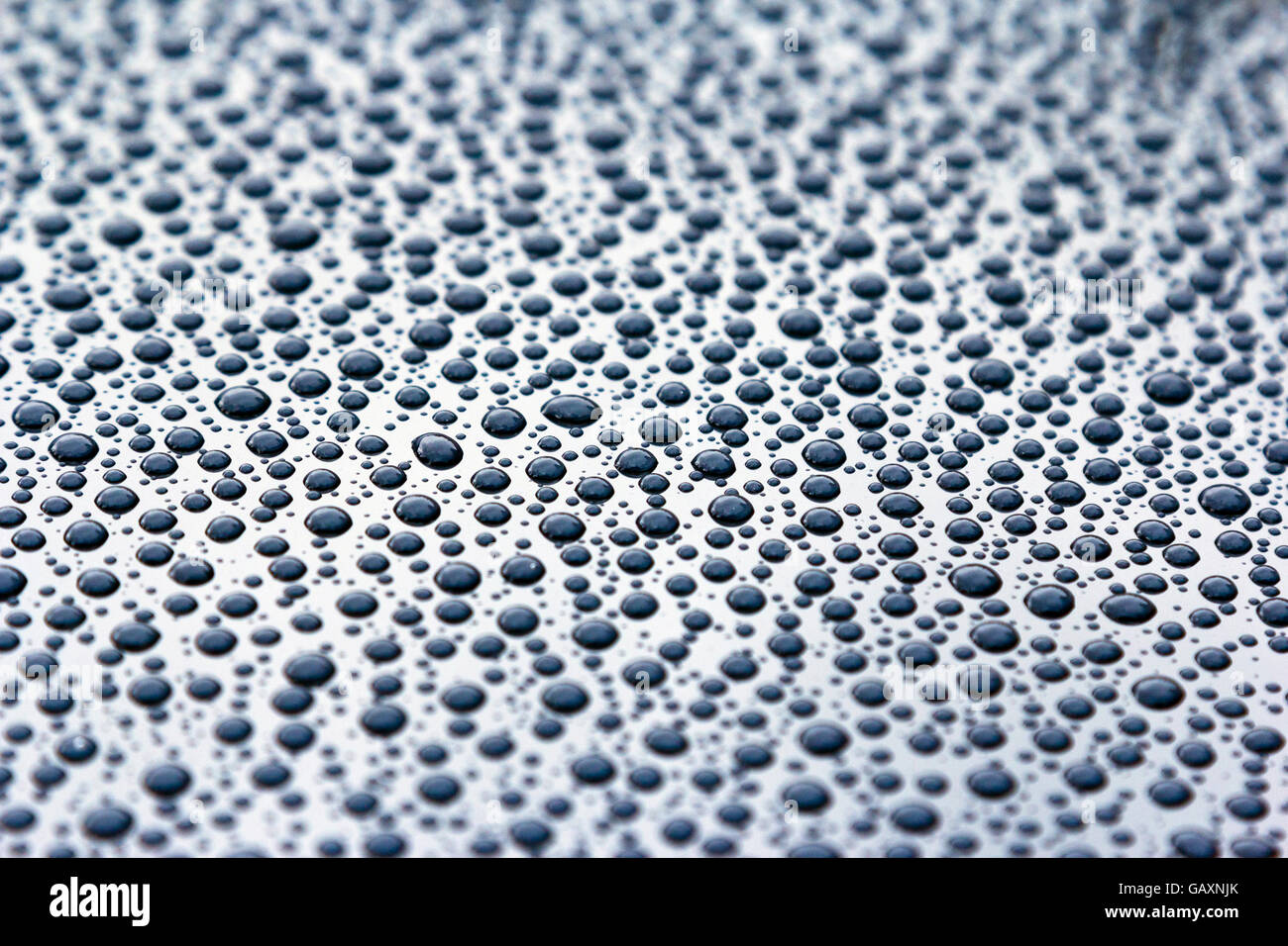 Wassertropfen auf einer glatten Oberfläche Stockfoto