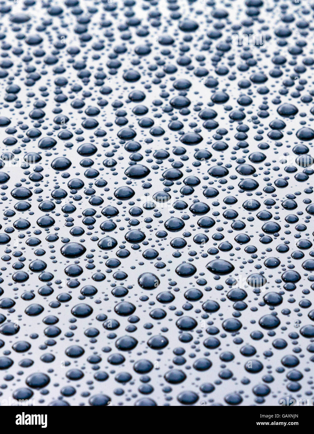 Wassertropfen auf einer glatten Oberfläche Stockfoto