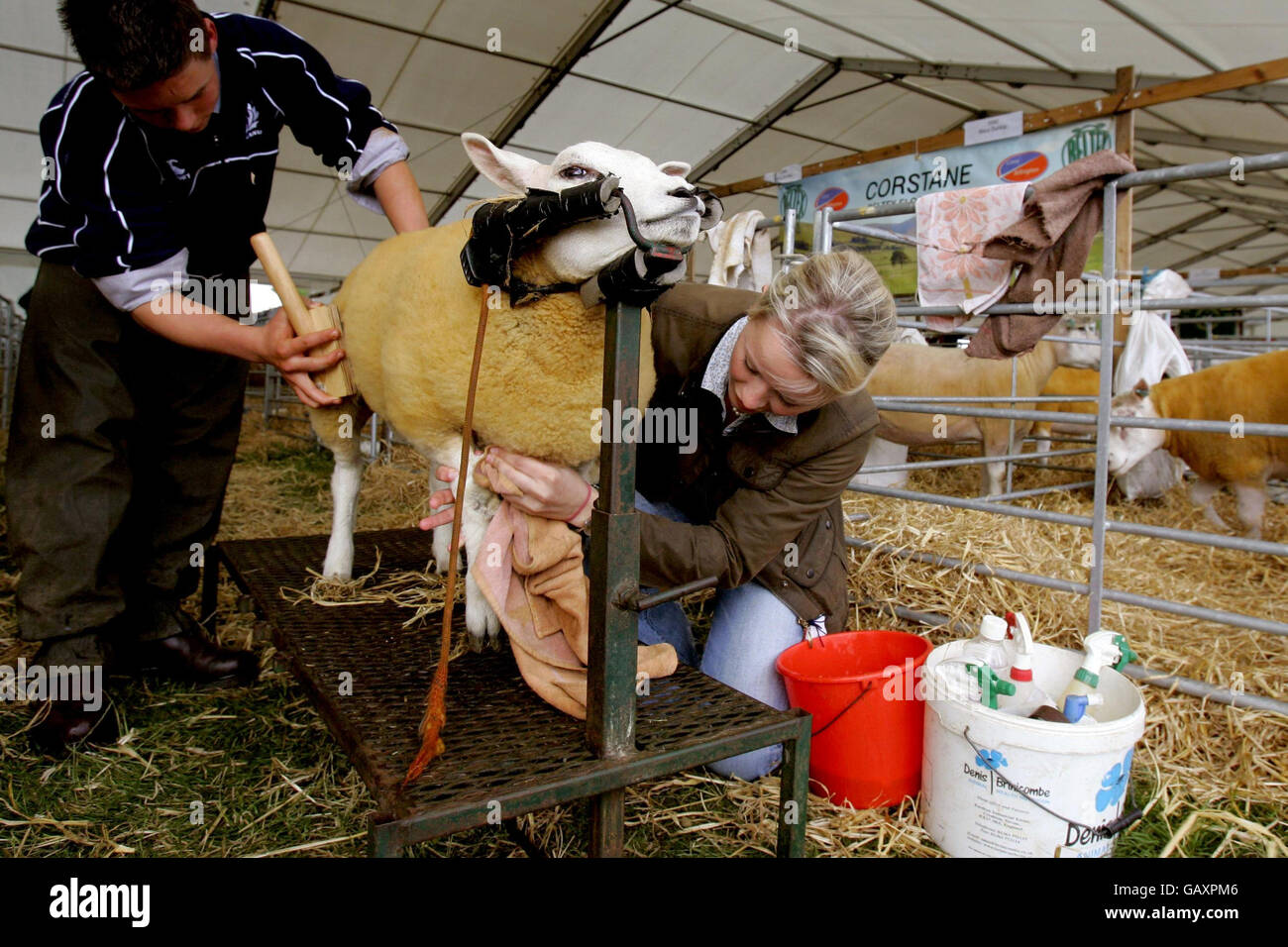 Royal Highland Show, 2008 Stockfoto