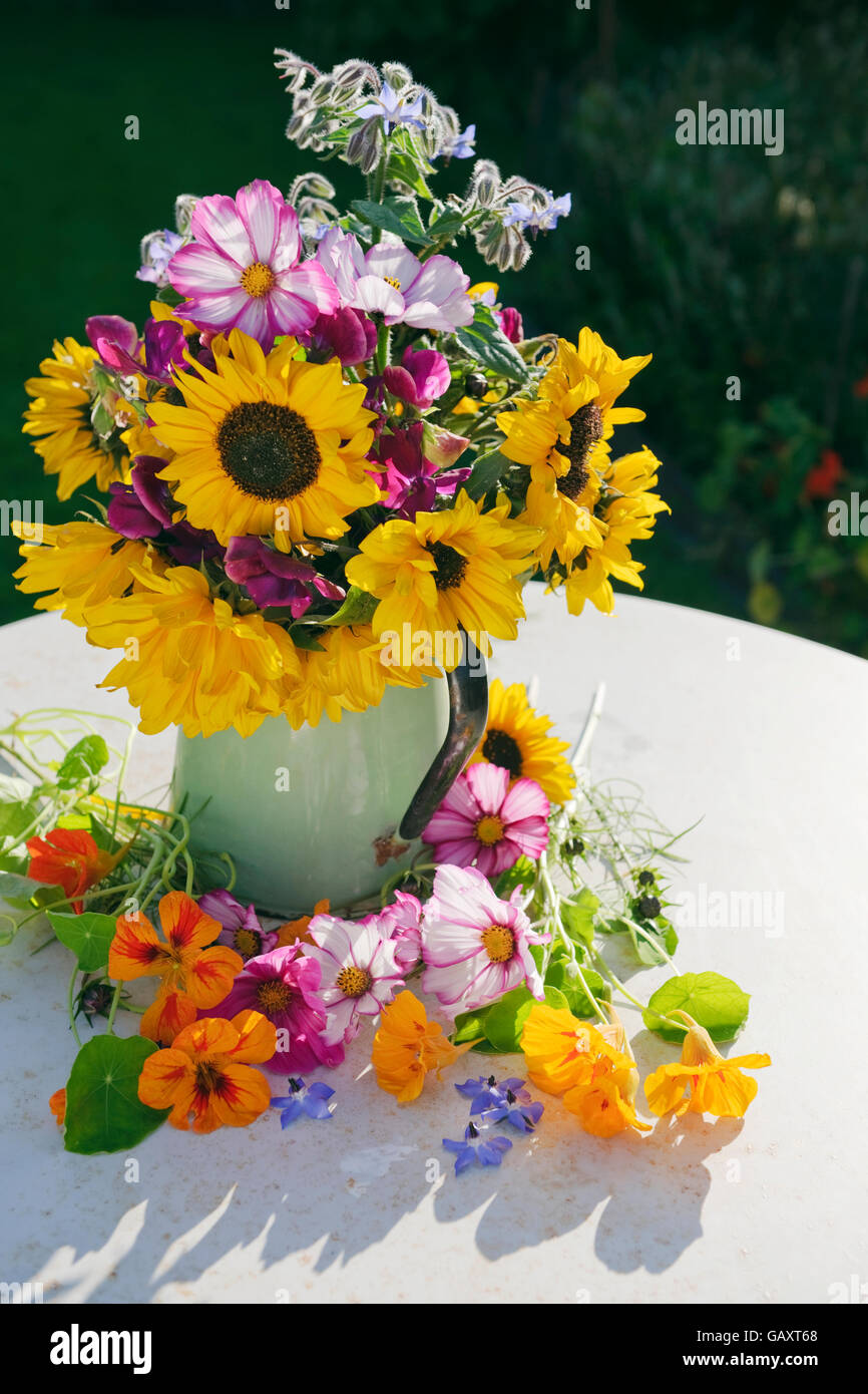 Eine informelle Abmachung Garten Sommerblumen in einem grünen Emaille Krug auf einem Gartentisch. Sonnenblumen, Kosmos, Kapuzinerkresse, Borretsch Samen Erbse Stockfoto