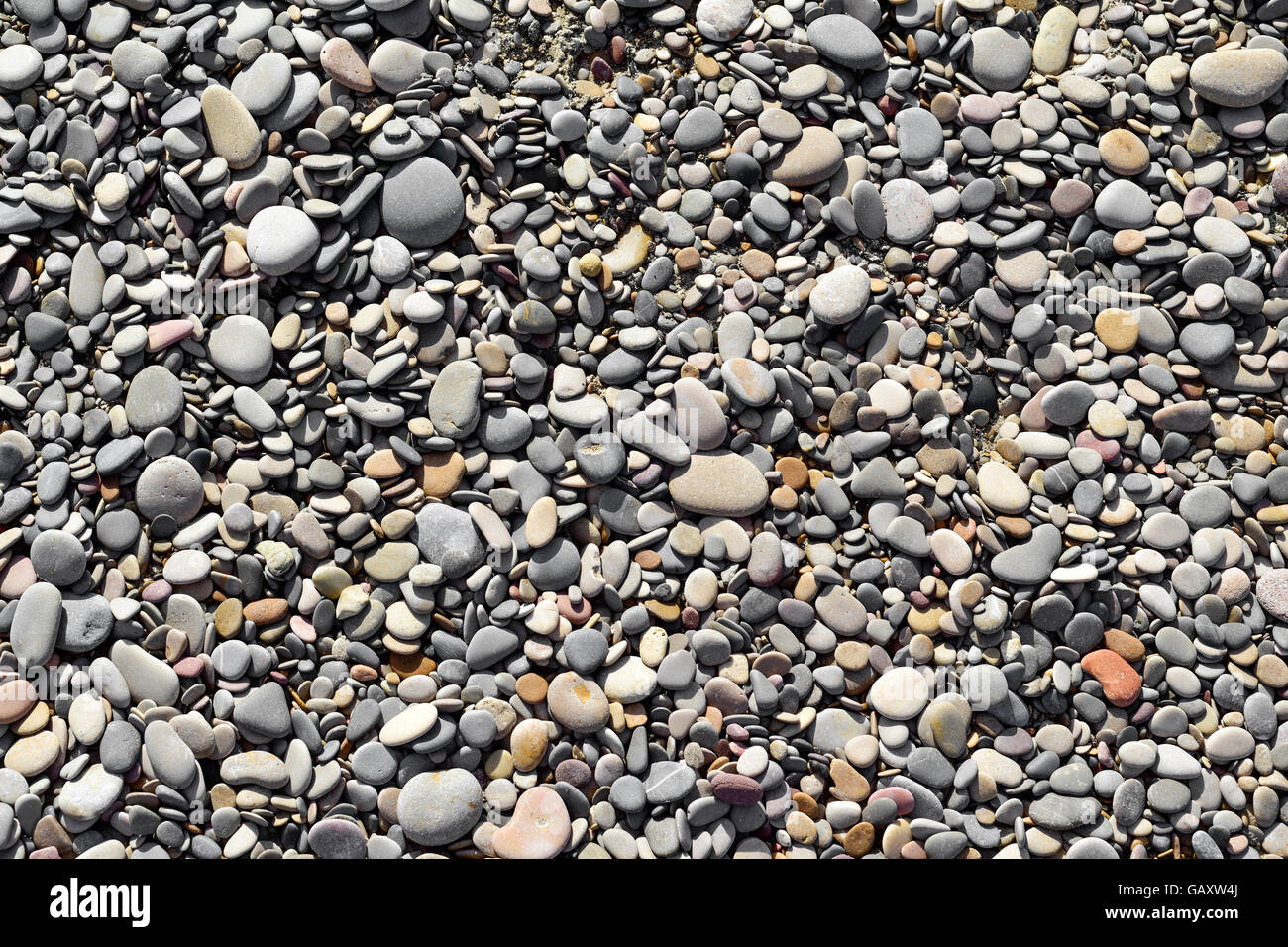Nahaufnahme des Hintergrunds des Kiesel von einem Kiesstrand oder das Ufer eines Flusses Stockfoto