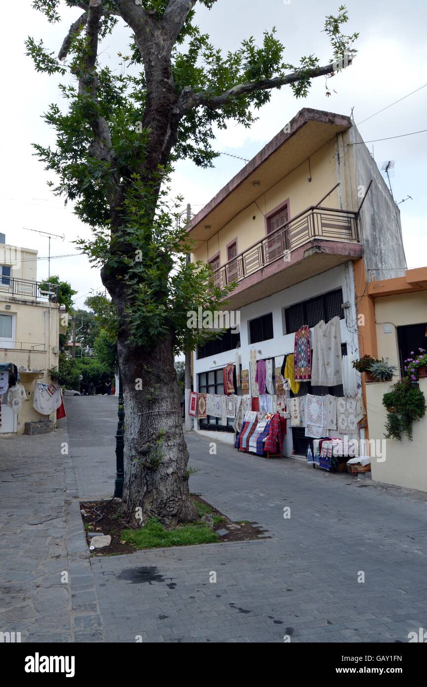 Alte Frau Baum mitten auf der Straße in einem kretischen Dorf. Stockfoto