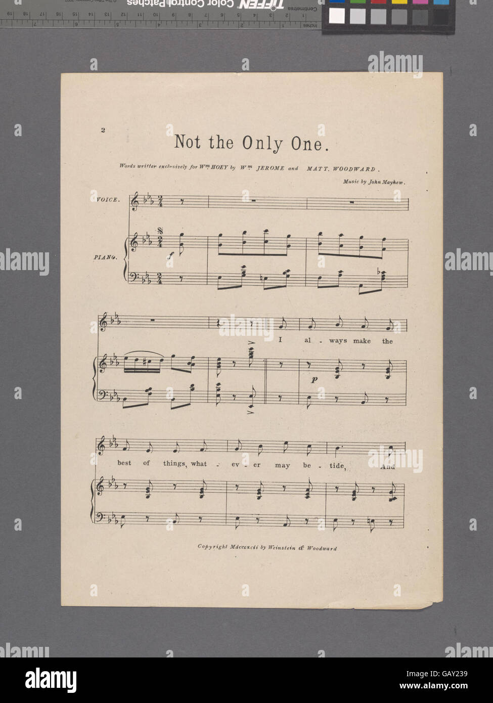 „Not the Only One“ (nicht der Einzige) deutet auf ein Thema der unwiderruflichen Liebe oder das Gefühl hin, Teil einer größeren Gruppe zu sein, was auf ein Gefühl der Ausgrenzung oder eines unter vielen hindeutet. Stockfoto