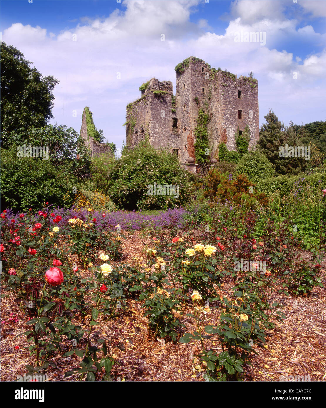 Schloss Kennedy, Wigtownshire, S/W-Schottland. Stockfoto