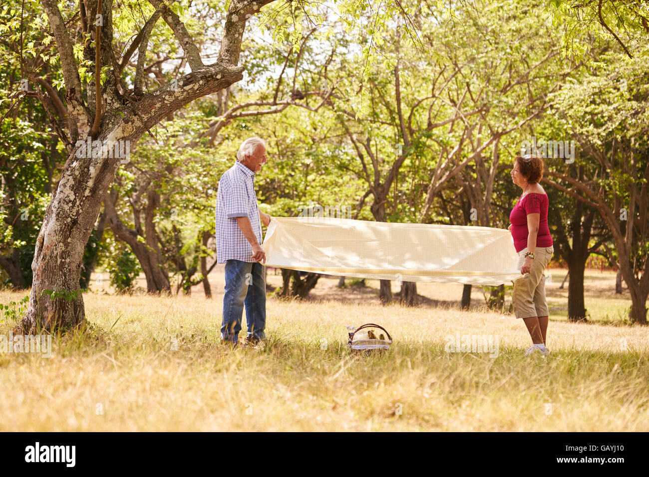 Älteres Paar, Alter Mann und Frau im Park am Wochenende Aktivität. Opa und Oma machen Picknick im Holz Stockfoto