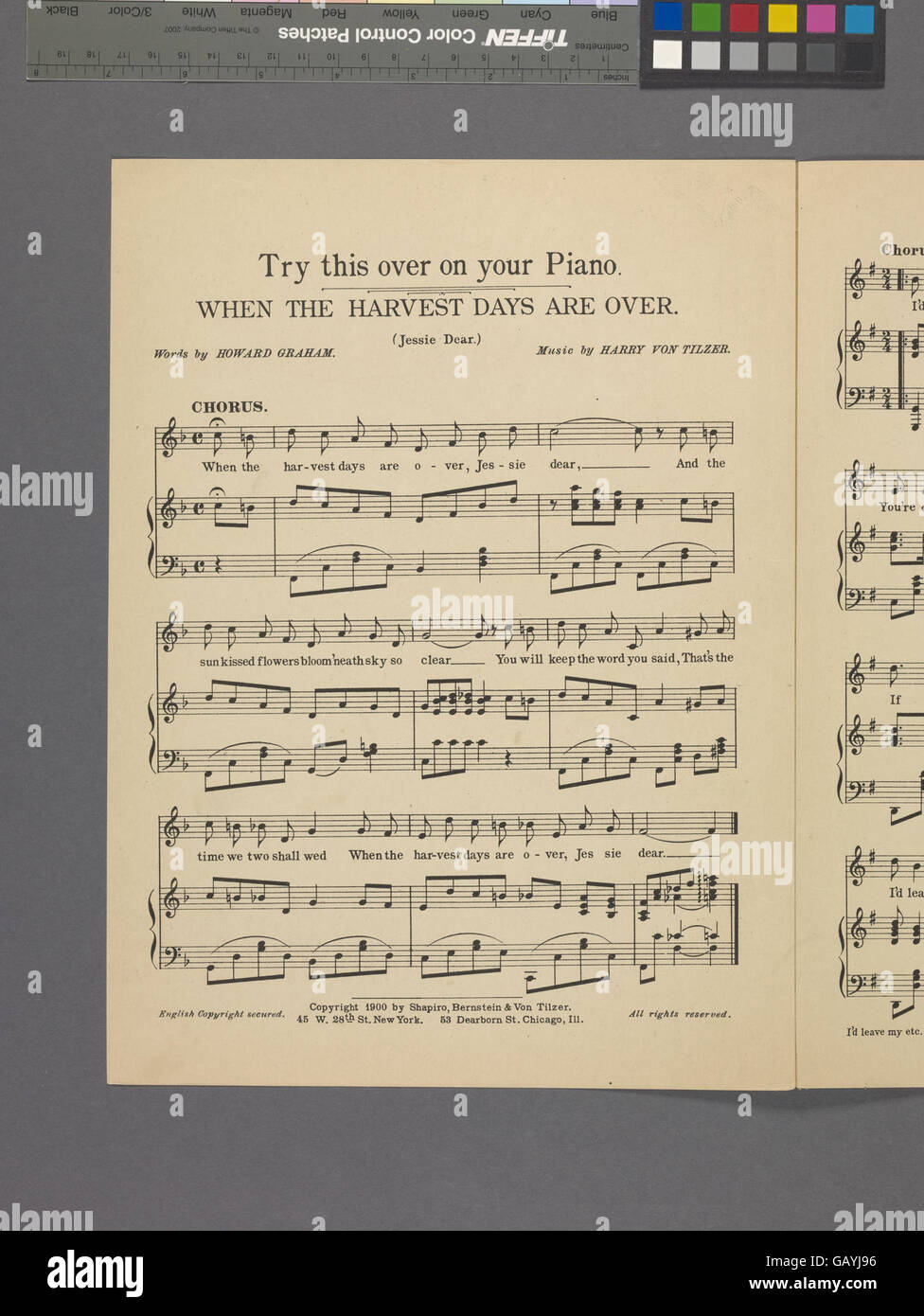 Ein inniger Ausdruck von Liebe und Hingabe, der die Bereitschaft zum Opfer bringt, persönlichen Komfort oder Sicherheit für einen geliebten Menschen zu opfern, oft in romantischen Liedern oder Erklärungen. Stockfoto