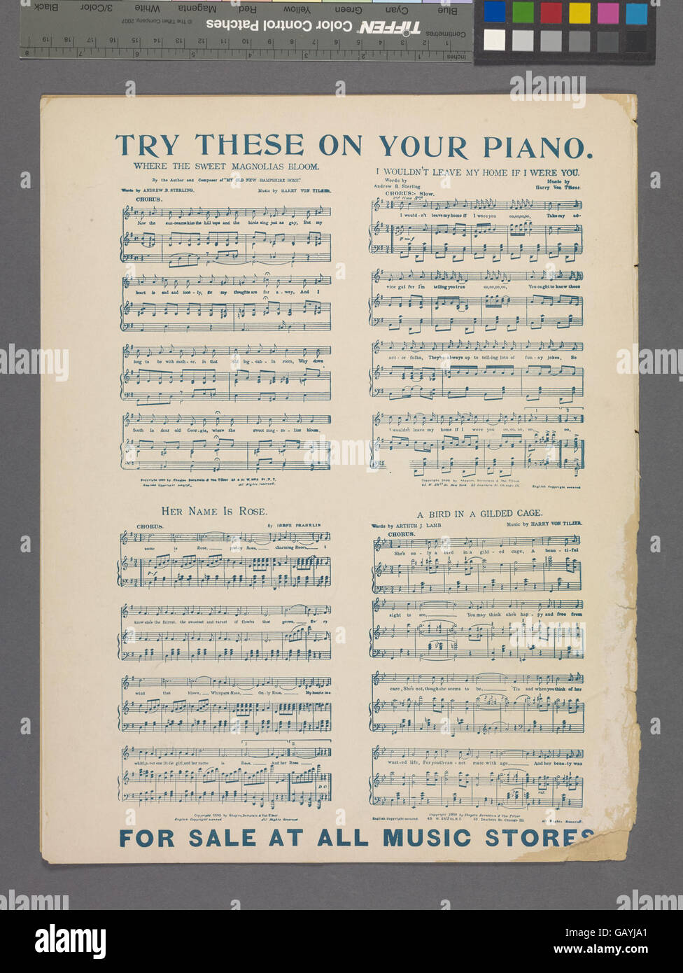 Dieser Titel deutet auf eine romantische Stimmung hin, in der jemand die Bereitschaft zum Ausdruck bringt, sein Zuhause für die Person zu verlassen, die er liebt, und hebt tiefe Zuneigung und Hingabe hervor. Stockfoto