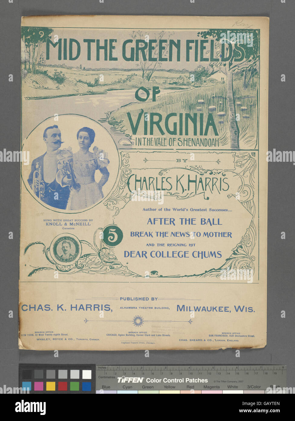 Dieser Satz erinnert an ein Bild des ländlichen Virginia, das oft mit den malerischen, grünen Landschaften der amerikanischen Landschaft in Verbindung gebracht wird. Es könnte auf eine friedliche, ruhige Umgebung hinweisen, die möglicherweise an historische oder kulturelle Ereignisse in Virginias ländlichen Gebieten gebunden ist. Stockfoto