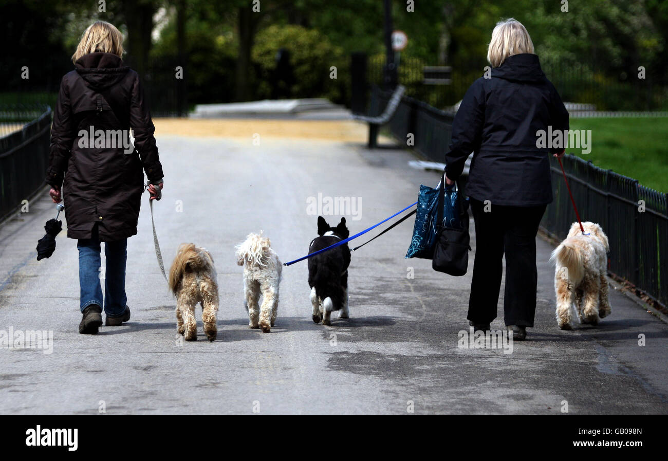 Regent's Park Stock. Frauen gehen Hunde im Regent's Park, London. Stockfoto