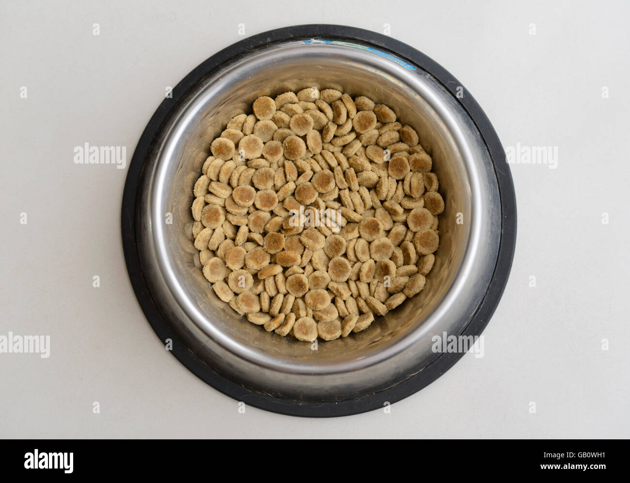 Schüssel mit Trockenfutter Hundefutter Stockfoto