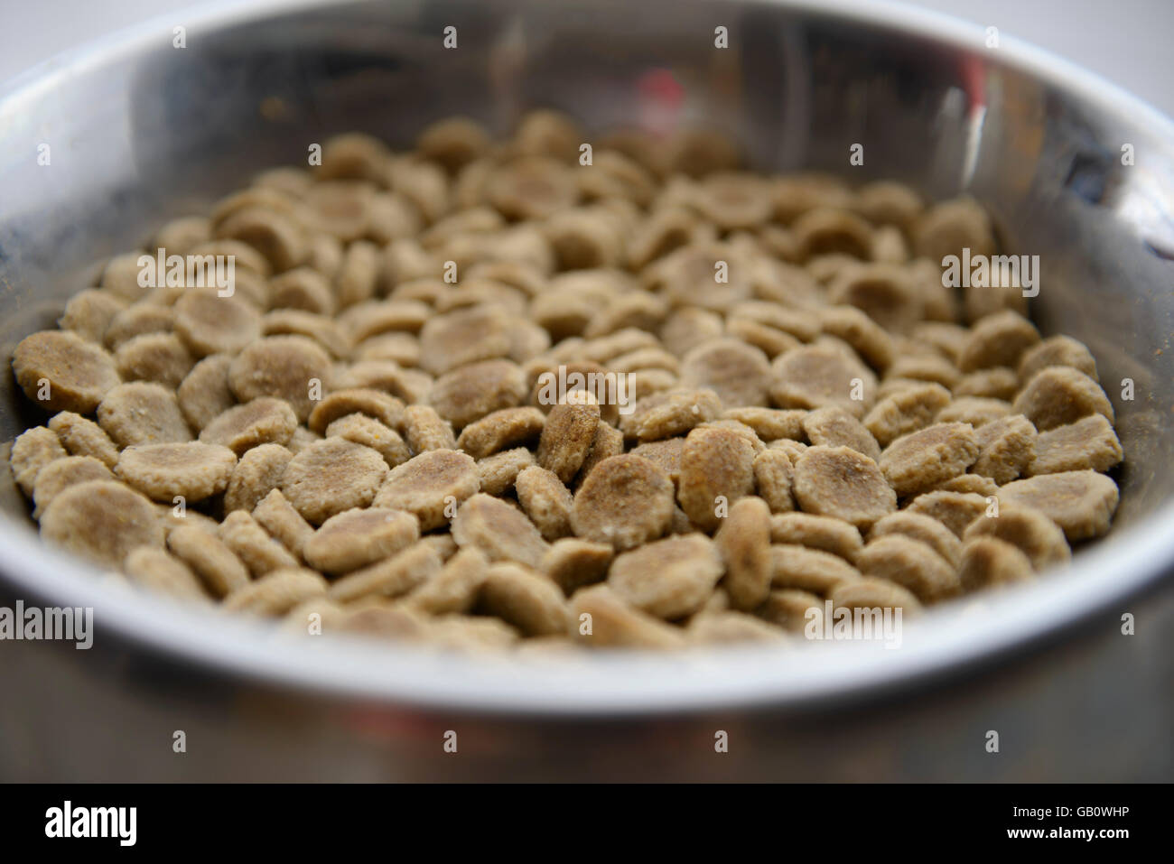 Schüssel mit Trockenfutter Hundefutter Stockfoto