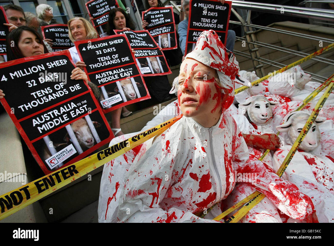 Mitglieder des Animal Rights Action Network protestieren vor der australischen Botschaft Dublin. Australien dominiert den Markt für lebende Schafe Exporte in den Nahen Osten, Export in rund 12 Länder. Stockfoto