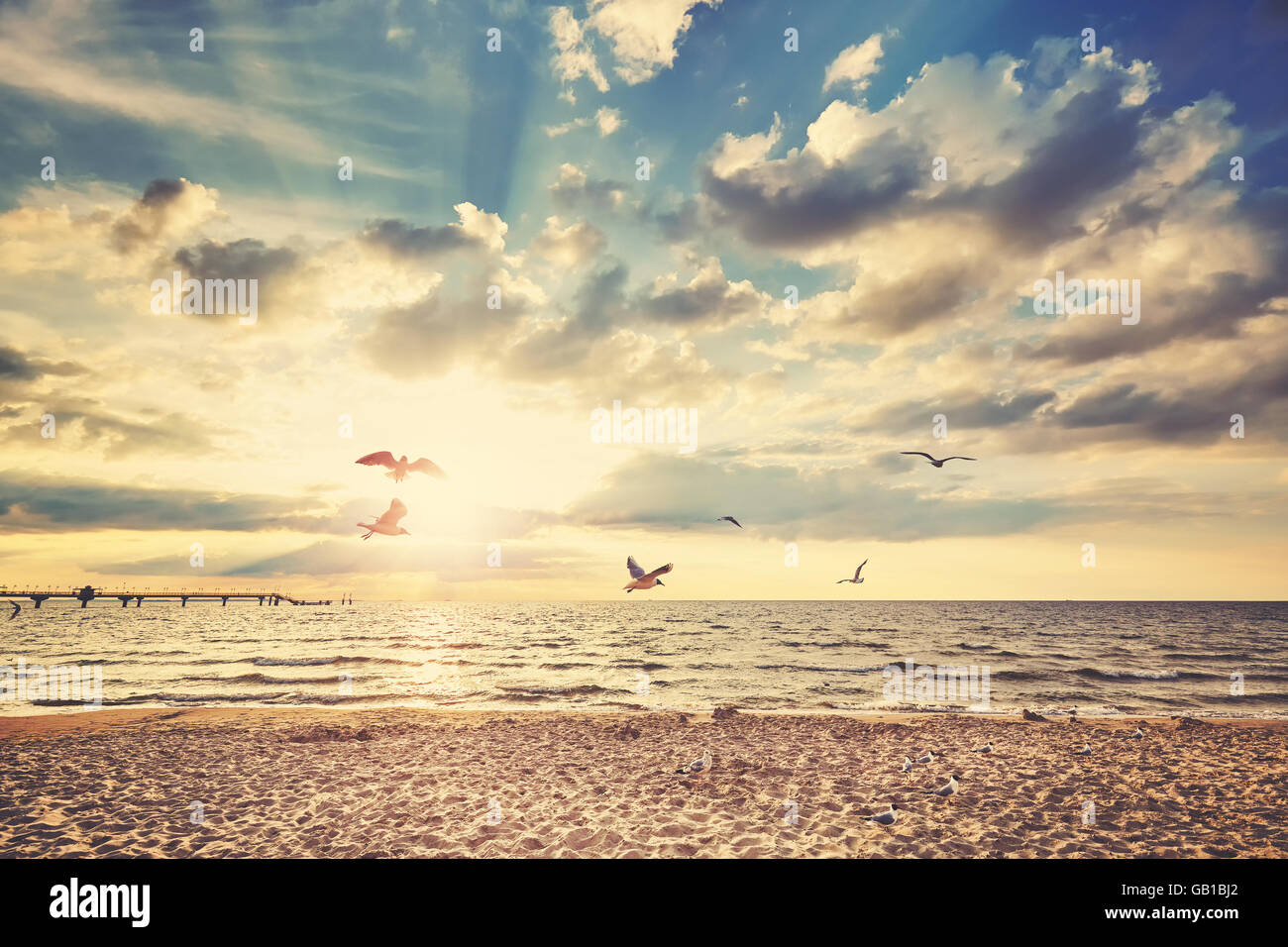 Retro-getönten Strand bei Sonnenuntergang mit fliegenden Vögel. Stockfoto