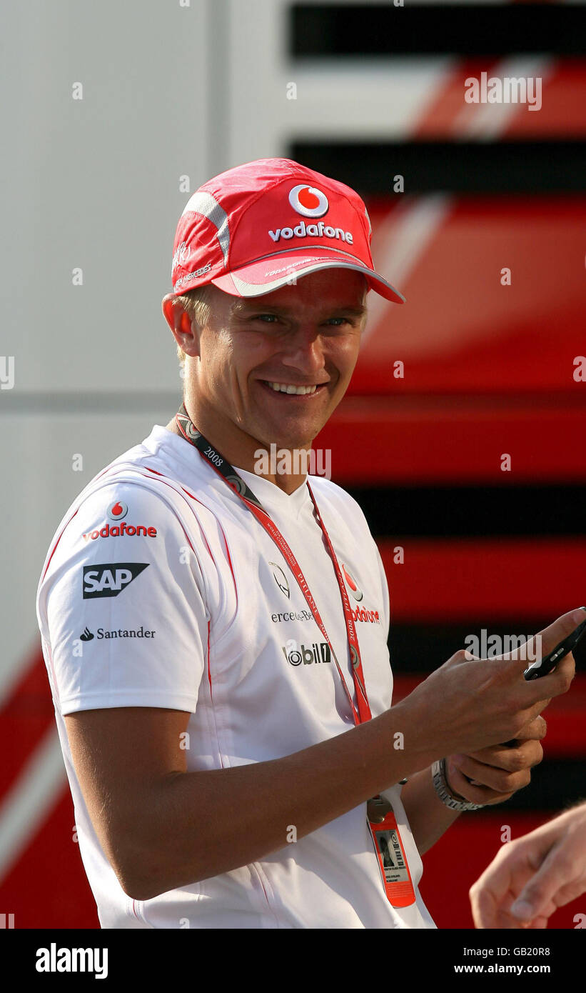 Formel 1 Motor Racing - Grand Prix von Ungarn - Praxis - Hungaroring Stockfoto