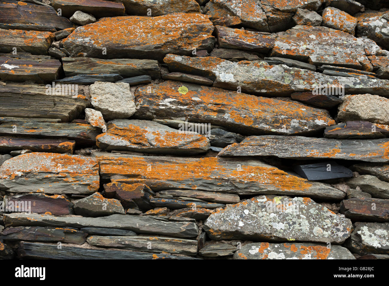 Wand, bestehend aus verschiedenen Stücken aus Basalt mit Flechten bedeckt Stockfoto