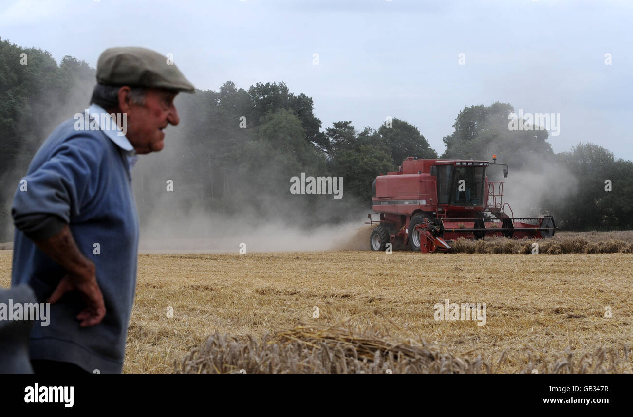 Stock: Farmer Harold Smith beobachtet seinen Sohn Colin beim Fahren eines Mähdreschers in einem Weizenfeld bei Mountnessing, Essex PRESS ASSOCIATION Photo. Bilddatum: Freitag, 29. August 2008. Bildnachweis sollte lauten: Ian Nicholson/PA Stockfoto