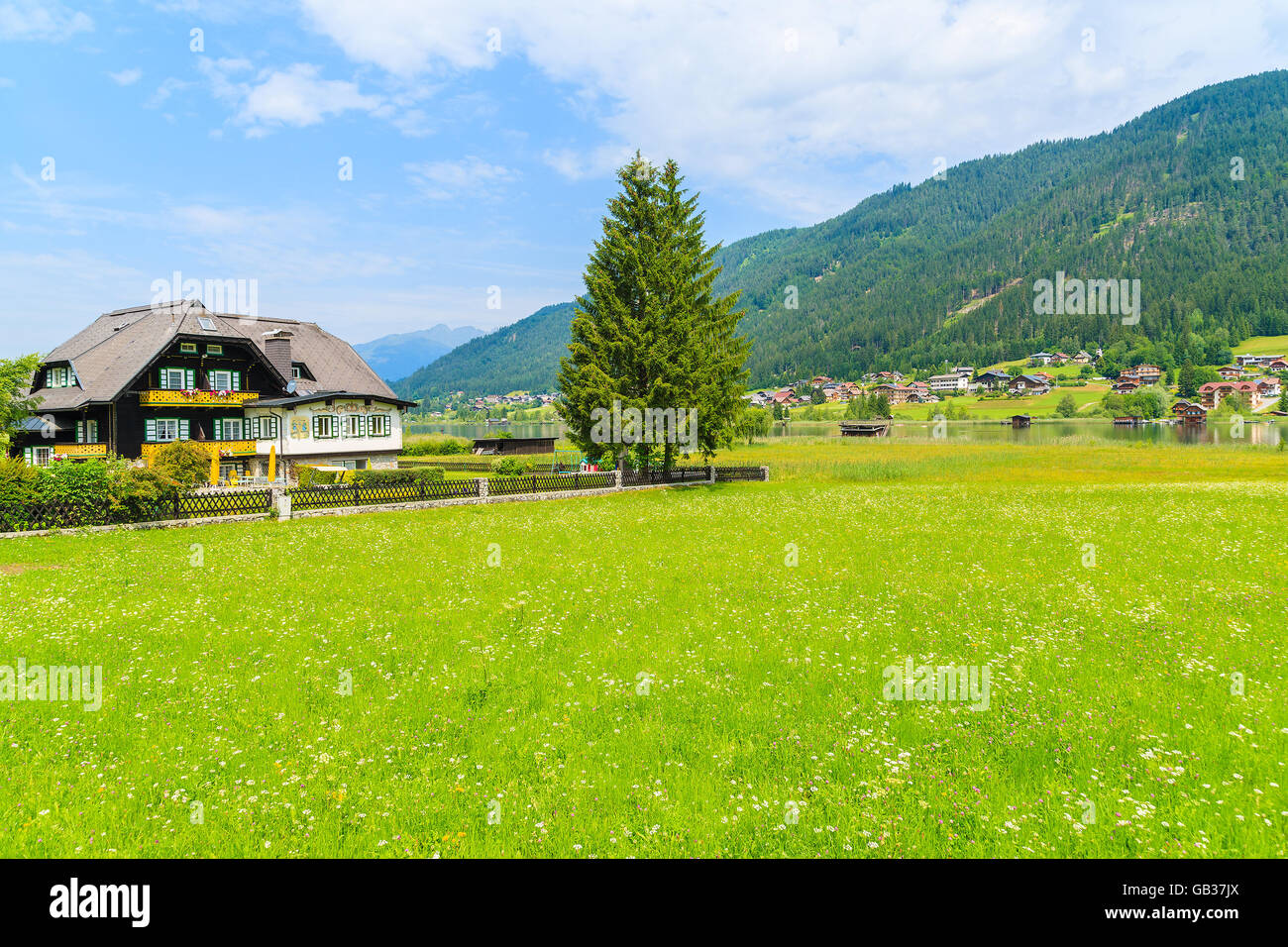 Blumen auf der grünen Wiese mit Blick auf typische alpine Mountain beherbergt im Sommerlandschaft von Weißensee, Österreich Stockfoto