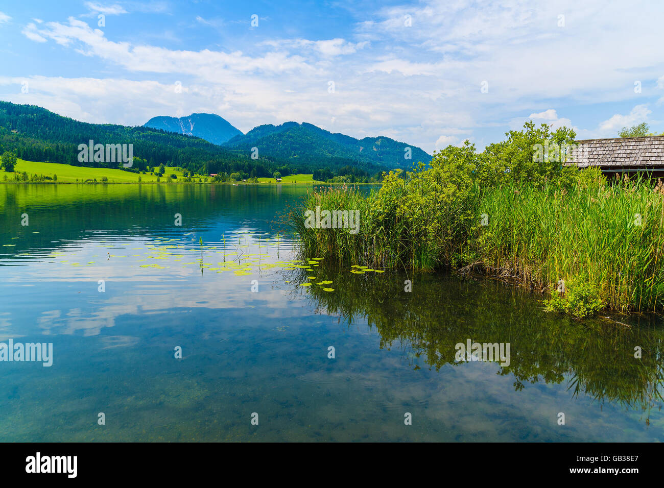 Rasen Sie am Ufer des idyllischen Weißensee im Sommer, Carinthia Land, Österreich Stockfoto