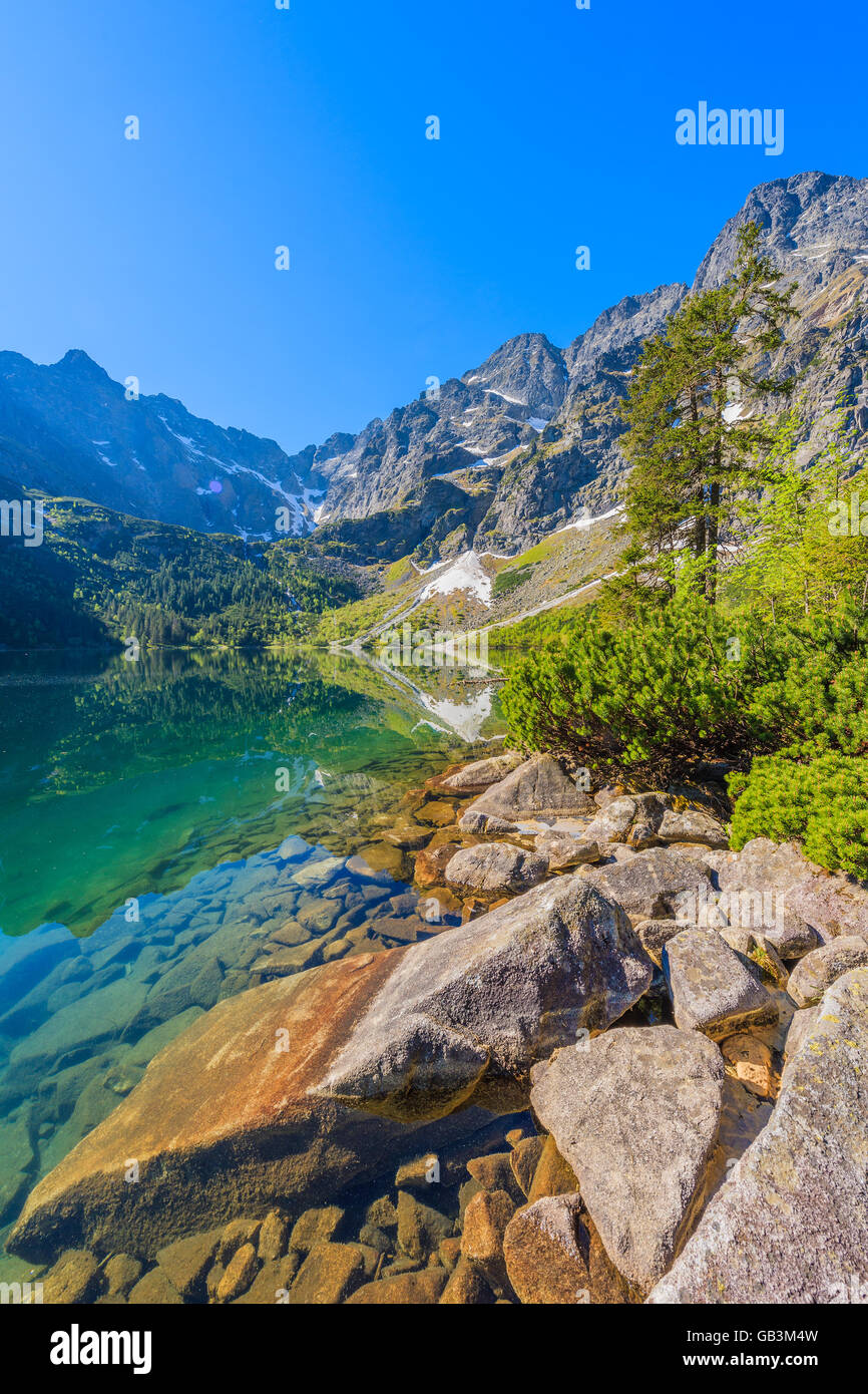 Felsen in schönen grünen Wasser See Morskie Oko, Tatra-Gebirge, Polen Stockfoto