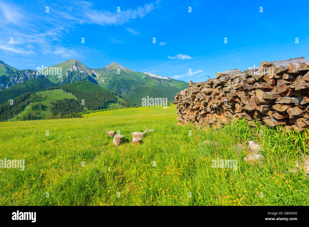 Haufen von Holz auf der grünen Wiese mit blühenden Blumen im Sommerlandschaft der hohen Tatra, Slowakei Stockfoto
