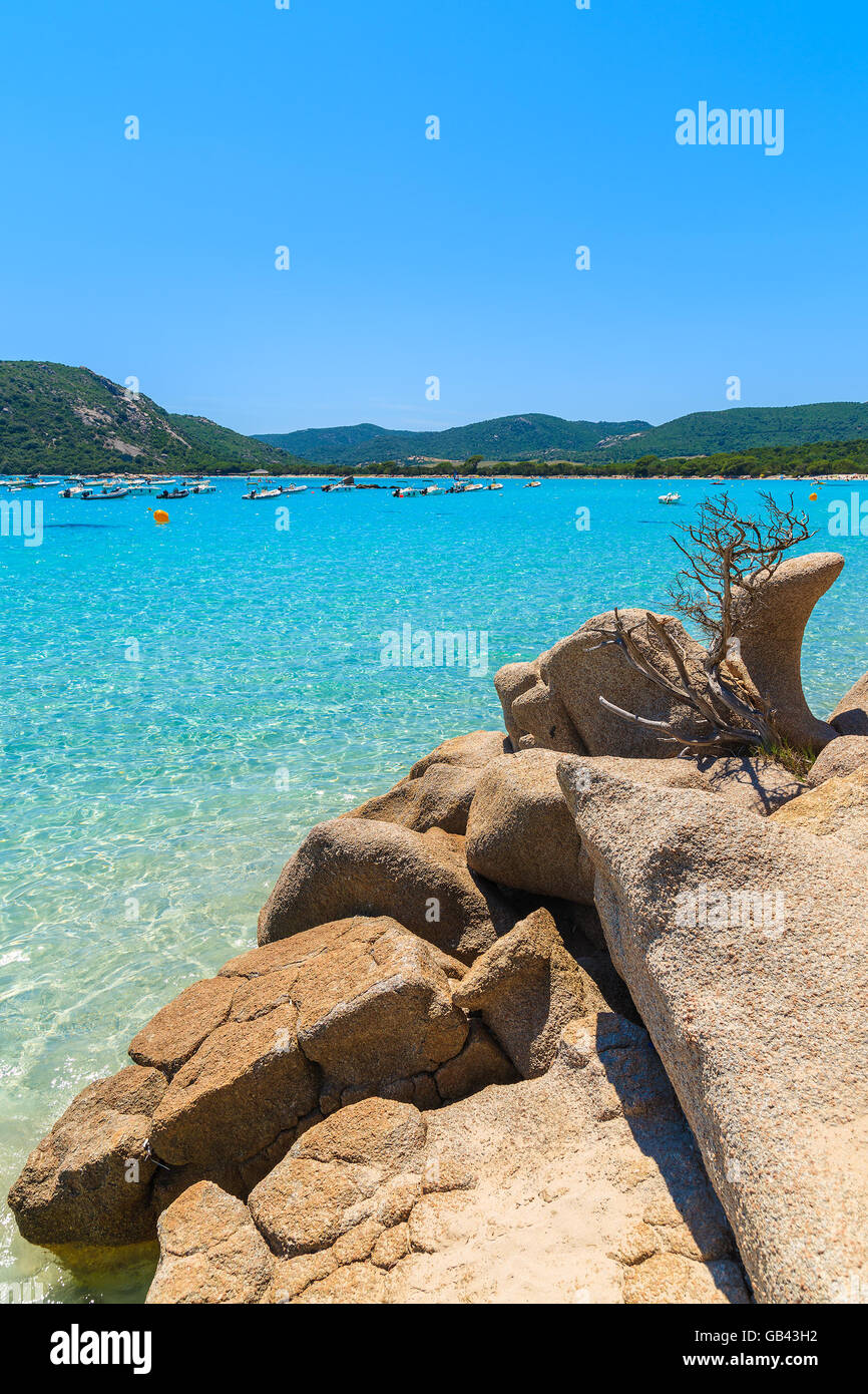 Felsen und Kristall klarem türkisfarbenen Meerwasser von Santa Giulia Beach, Insel Korsika, Frankreich Stockfoto