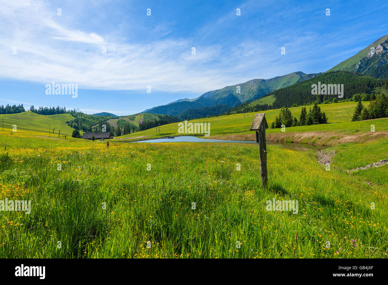 Hölzerne Wanderweg Zeichen auf der grünen Wiese im Sommerlandschaft der hohen Tatra, Slowakei Stockfoto