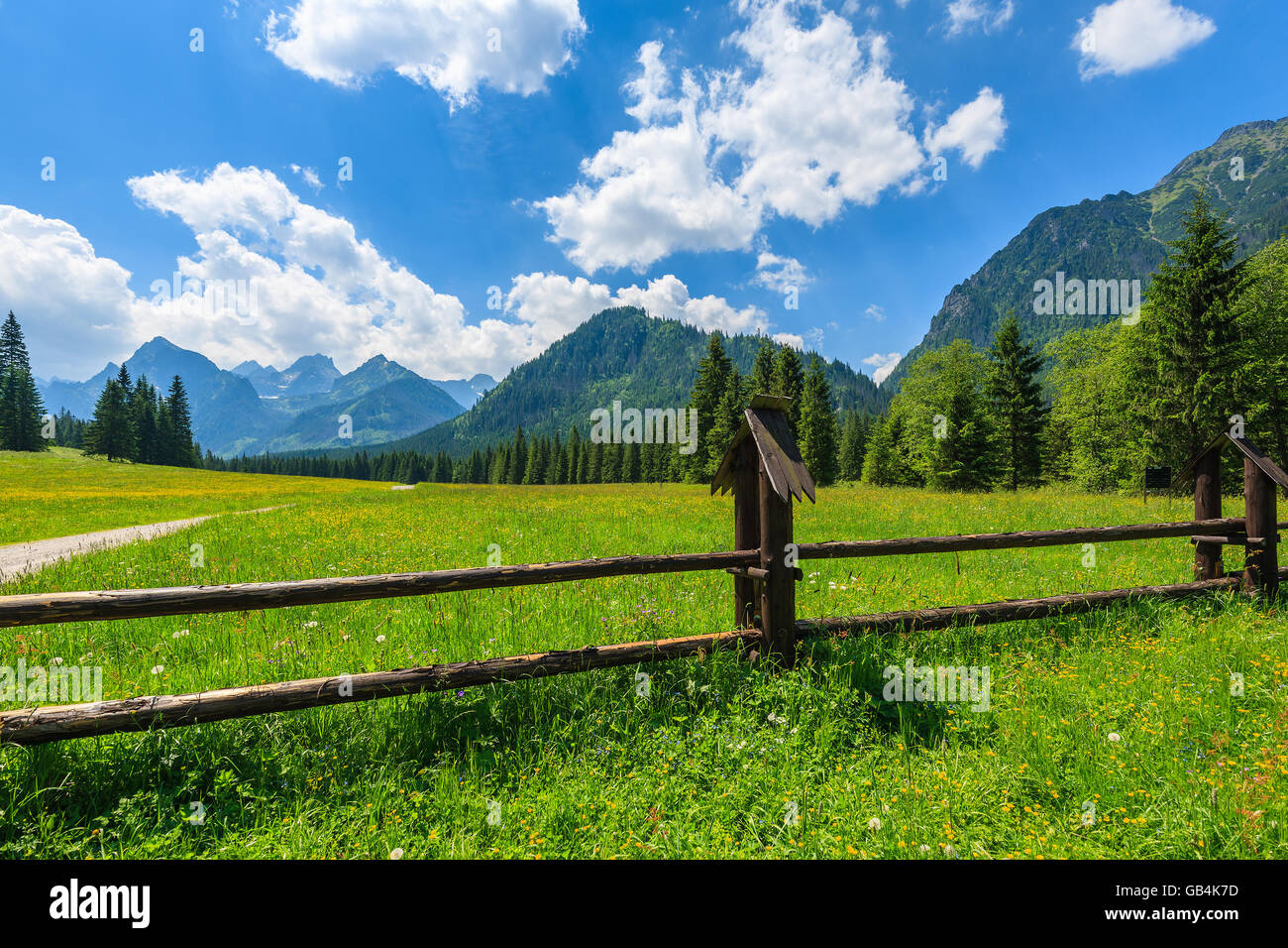 Holzzaun auf auf der grünen Wiese im Sommerlandschaft der hohen Tatra, Slowakei Stockfoto