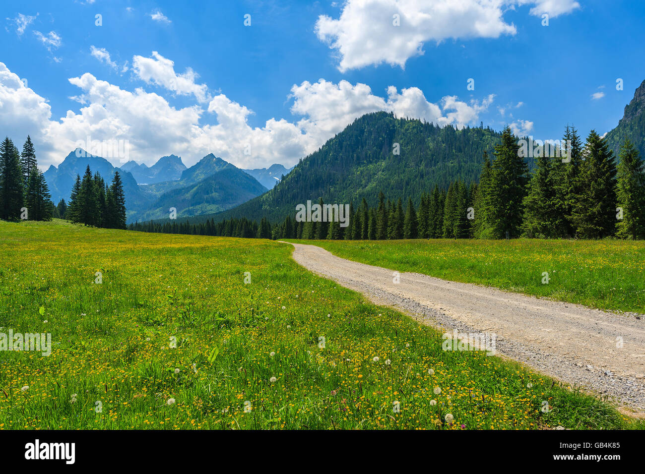 Wanderweg in grüne Sommerlandschaft der hohen Tatra, Slowakei Stockfoto