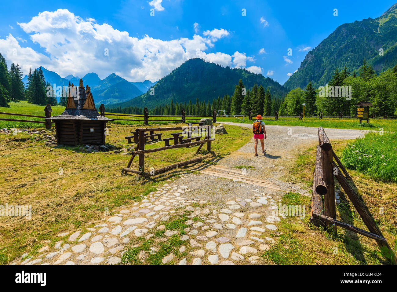 Junge Frau Backpacker zu Fuß auf Wanderweg in der hohen Tatra im Sommer, Slowakei Stockfoto