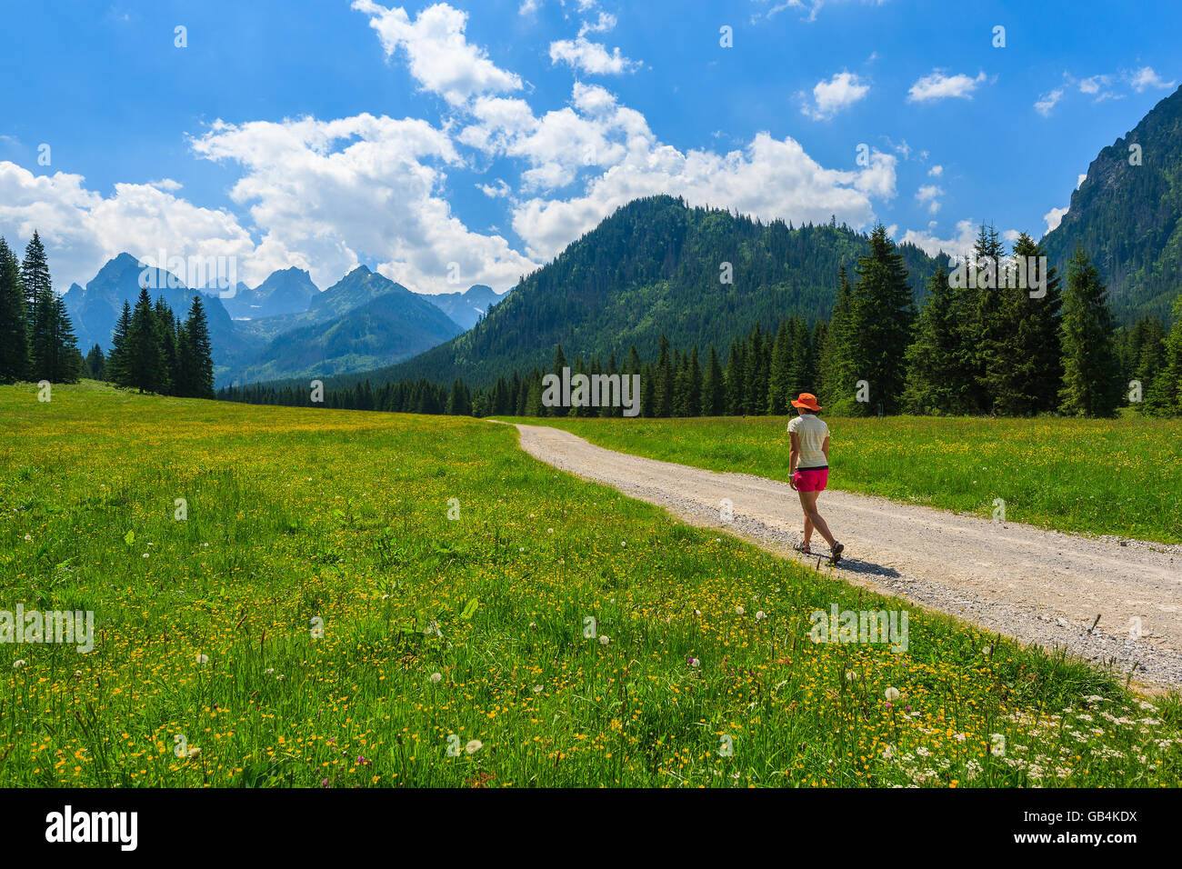 Grüne Sommer Landschaft und junge Frau Touristen zu Fuß auf Wanderweg in hohen Tatra, Slowakei Stockfoto