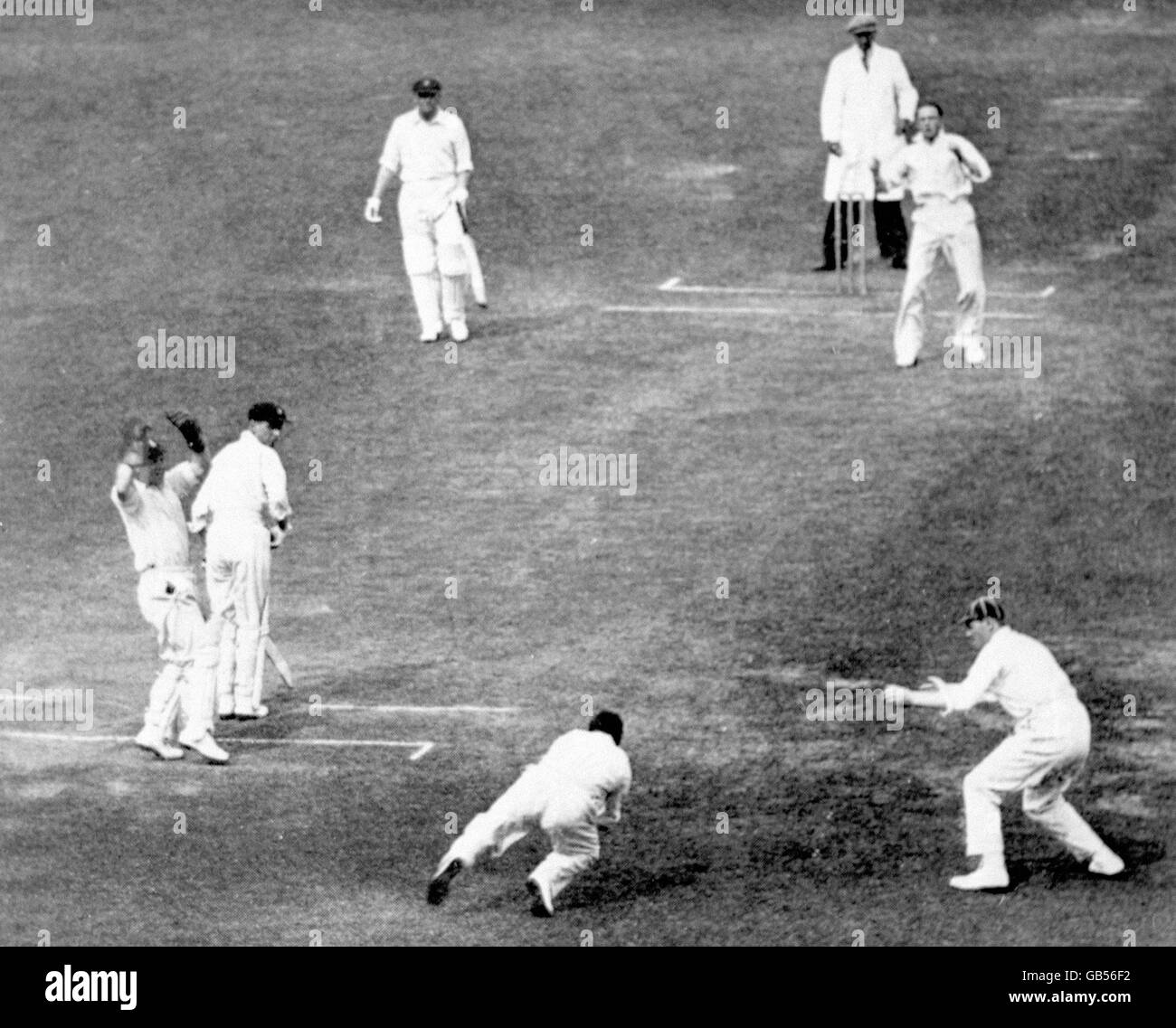 Cricket - The Ashes - zweiter Test - England gegen Australien - Dritter Tag. Englands Wally Hammond (unten, c) taucht in einem Versuch, den australischen Alan Kippax (zweite l) beim Bowling von Walter Robins (obere r) zu fangen Stockfoto