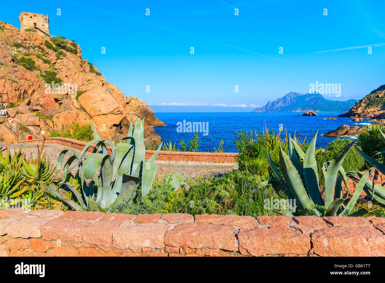 Agaven im Vordergrund und Blick auf die Bucht mit einem blauen Meer in der Stadt Porto, Korsika, Frankreich Stockfoto