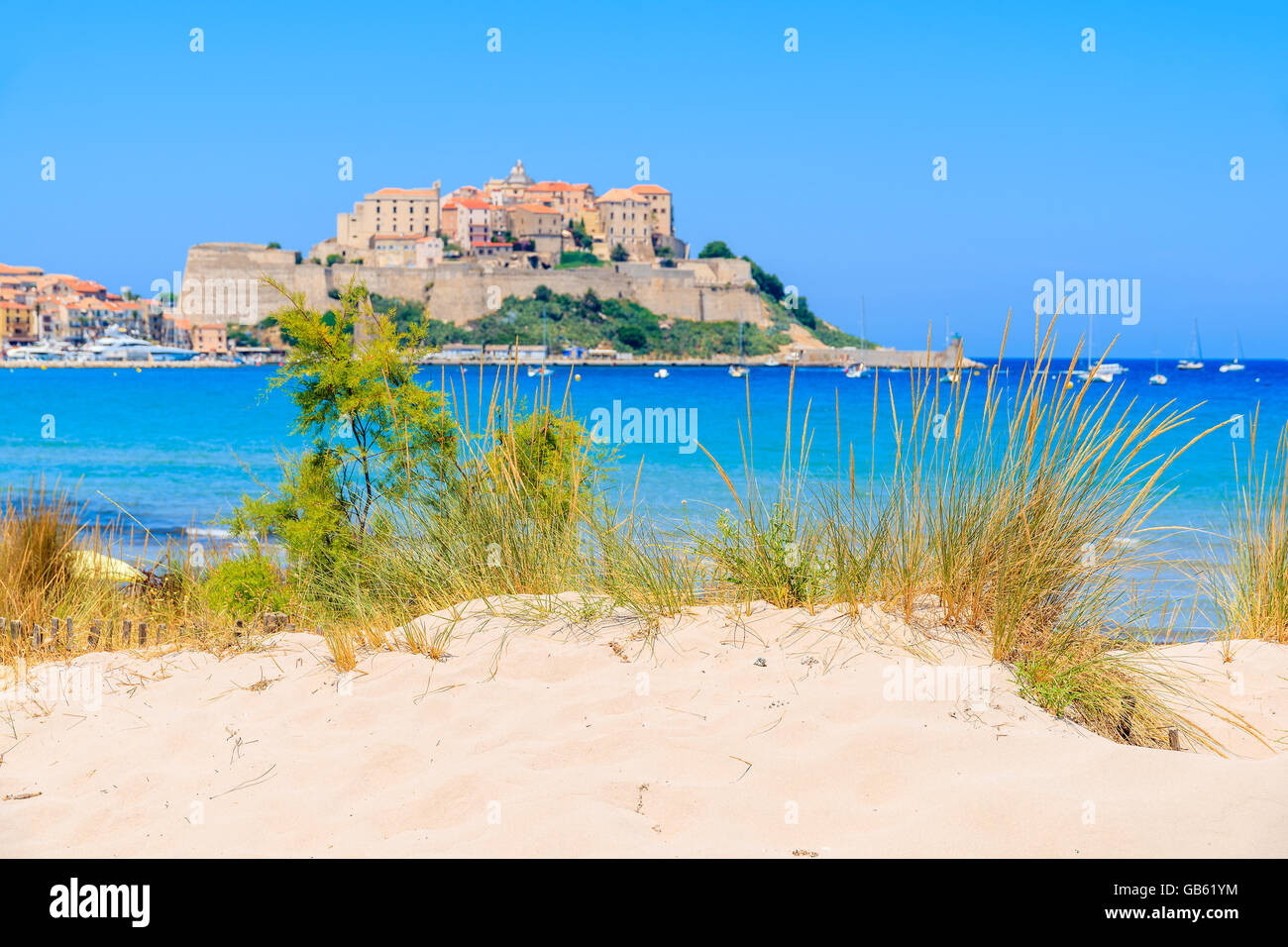 Grüner Rasen auf Sand Düne am Strand mit unscharfen alte Stadt von Calvi im Hintergrund, Korsika, Frankreich Stockfoto