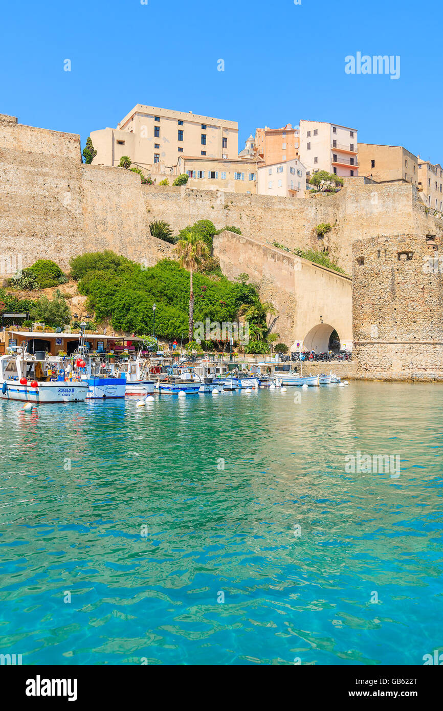 CALVI, Korsika - 29. Juni 2015: Blick auf Fischerbooten und Zitadelle mit Häusern im Hafen von Calvi. Diese Stadt hat luxuriöse marin Stockfoto
