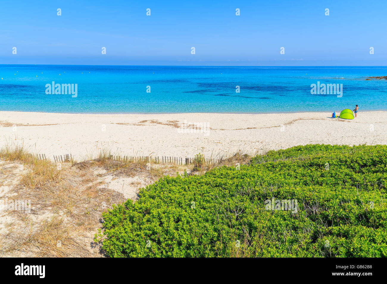 Blick auf Bodri Strand mit kristallklarem blauen Meerwasser, Korsika, Frankreich Stockfoto