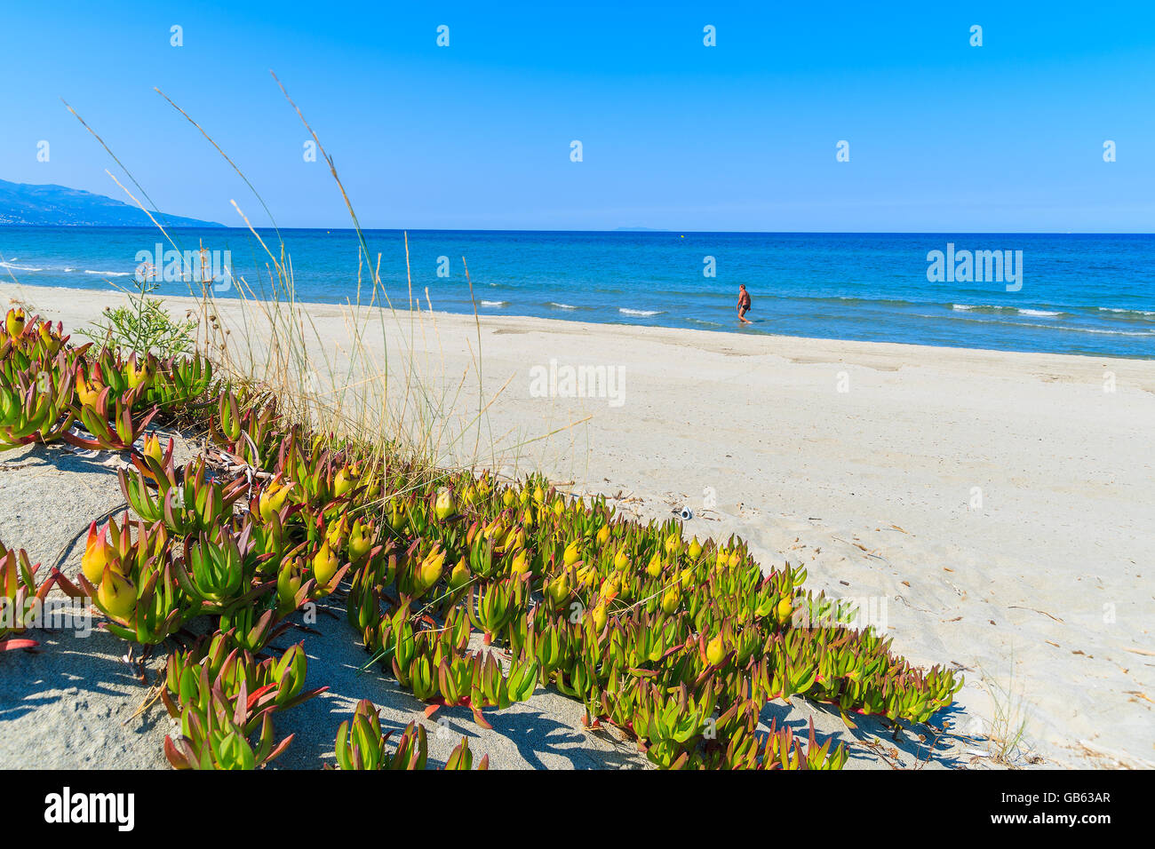 Ein Blick auf Sandstrand mit einem Mann zu Fuß im Meer in der Ferne nahe der Stadt Bastia, Korsika, Frankreich Stockfoto