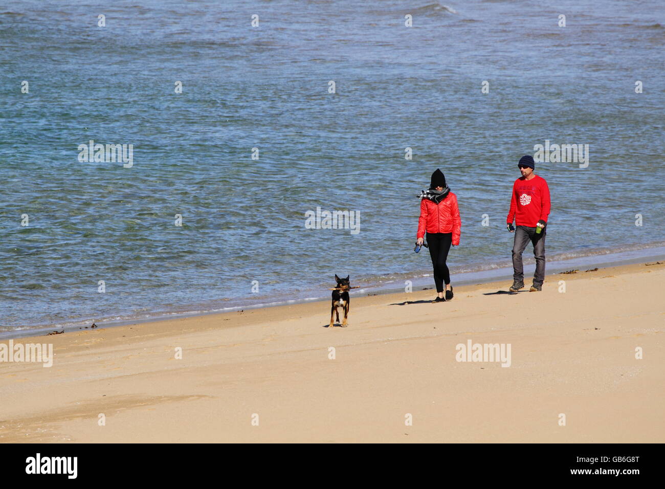 Ein paar Dame tragen rote Jacke, Mann einen roten Pullover, ihren Hund entlang Bombo Beach, Kiama, NSW spazieren im Winter. Stockfoto